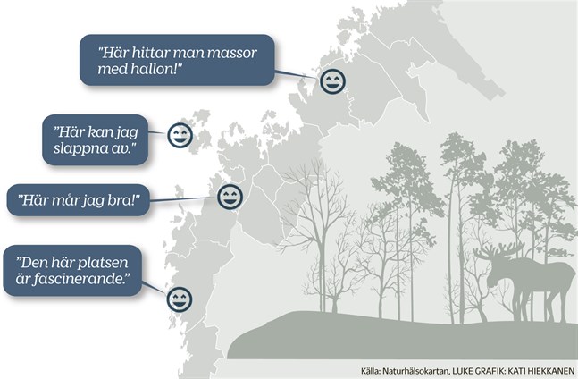 På Naturhälsokartan kan besökare registrera hur hälsofrämjande de upplever att en plats är eller hitta nya favoritställen med hjälp av andras rapporter.