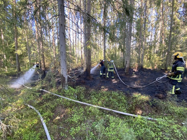 Ett mindre område i skogen i Nabbsund brann på torsdagskvällen.