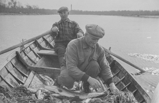 Fyrvaktarna och Björköborna Leander Södergård (Mares Leander) och Karl Nykvist (Nysto Kal) 1962. I bakgrunden syns fyren.