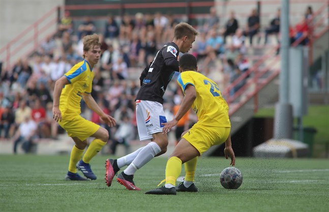 TUS, Jaro och JBK har varit vägen för bröderna Vidjeskog. Isak Vidjeskog hoppade direkt från JBK vidare ut i fotbollsvärlden. De två äldre bröderna hann med att spela för Jaros representationslag innan de drog vidre.