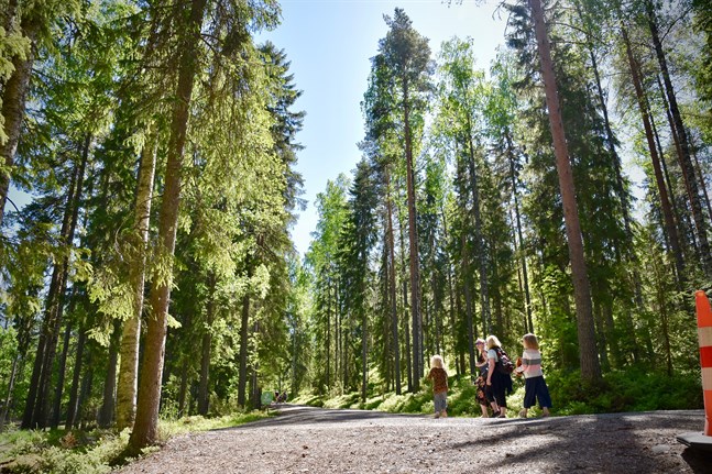 Fyra av fem finländare tycker att naturen är viktig eller väldigt viktig, uppger Miljöministeriet och Finlands miljöcentral.
