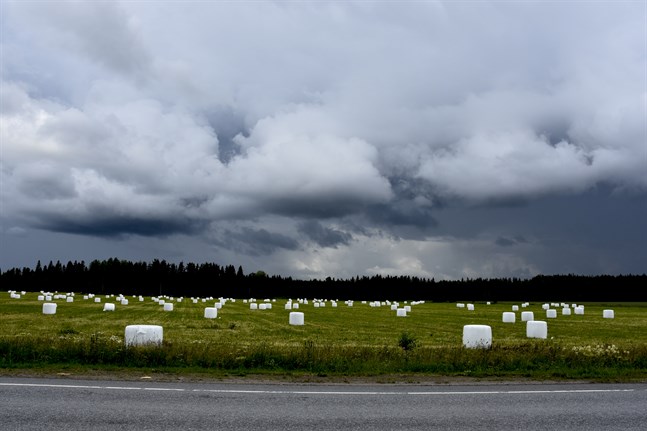 Värmeböljan fortsätter under helgen, men åska kan förekomma på många områden i landet.