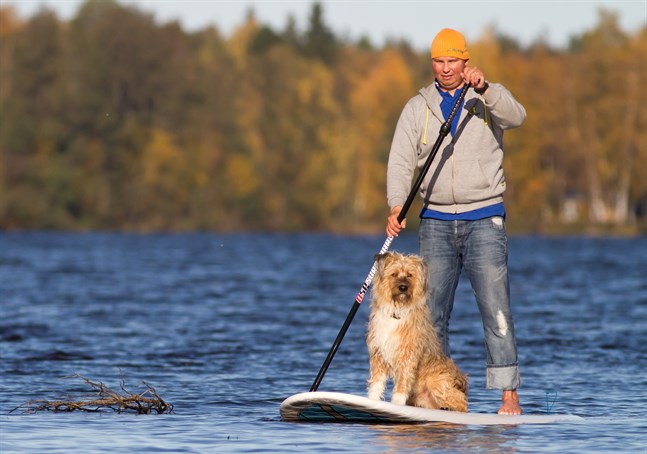 Andreas Lindh och hunden Balo på SUP-bräda.