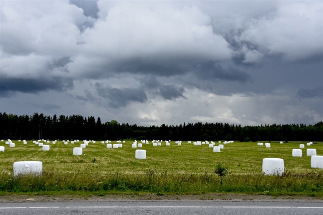 Ett mycket kraftigt lågtrycksområde rör sig över Finland under tisdagen, varnar Meteorologiska institutet.