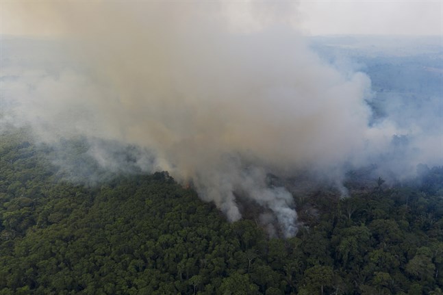 En skogsbrand i Amazonas i november i fjol.