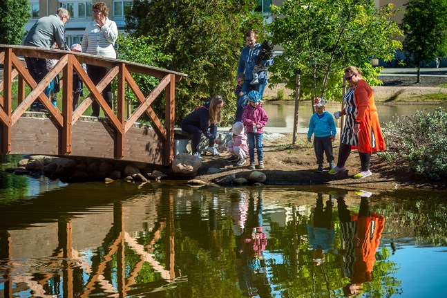 Det är främst barnfamiljer som söker sig till dammen för att mata karparna.