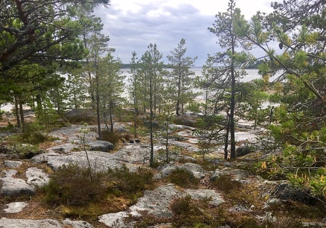 Om klipporna vid Fäboda arrenderas ut åt ett gäng företagare är de inte längre fria, skriver Lilian Kola. Bilden är från en plats där en glasigloo kunde placeras.