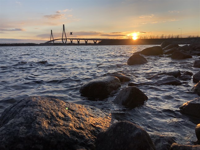 Man har aldrig har sett så mycket folk vid Replotbron som förra sommaren , skriver Jukka Mäkynen och Ulf-Peter Ek som vill att värlsdarvet ska få större synlighet, "allt för hela regionens väl".