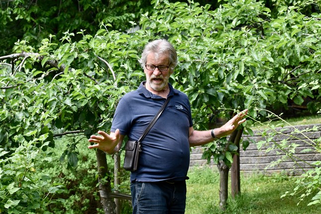Aarno Kasvi var överträdgårdsmästare vid Åbo universitets botaniska trädgård i Runsala från slutet av 1983 till sin pensionering 2009. Samma år som Kasvi gick i pension utnämnde republikens president Tarja Halonen honom till trädgårdsråd.