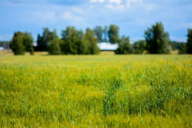 Nyhetsbild