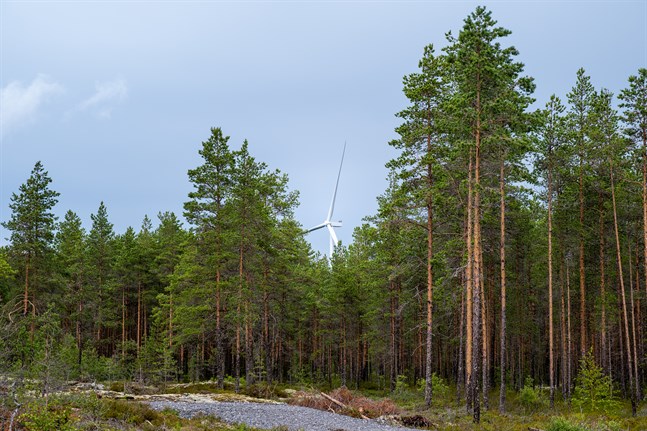 Vindkraftpark i Ribäcken blev klar i somras. Nu har den reviderade delgeneralplanen vunnit laga kraft.