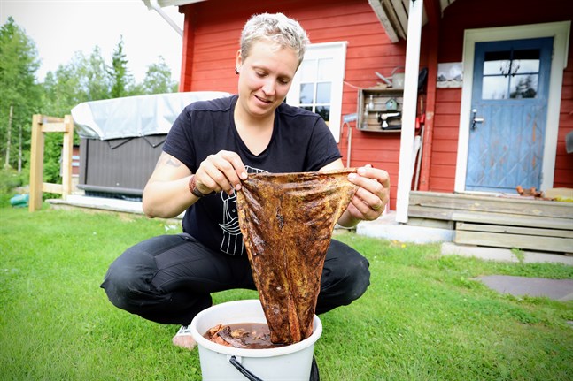 Lakskinn är Madelene Westerlunds favorit. Skinn från lax, abborre och gädda hamnar också i garvbadet.
