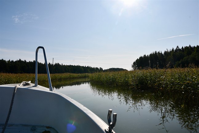 Semesterfirare ska få testa sig för coronaviruset liksom ortsbor, säger läkare.