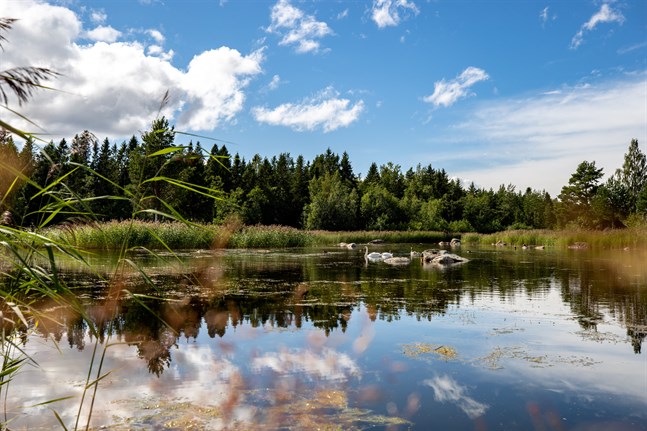 Vasa kyrkliga samfällighet säljer strandtomter på Köklot. Bilden är inte från tomterna i fråga, men dock från Norrskat där tomterna finns.