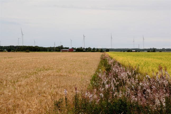 Åkrar i Sydösterbotten. Arkivbild.