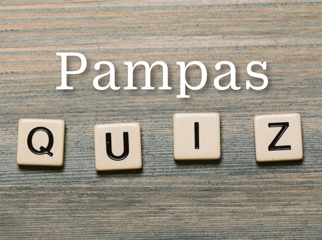 Pampasquiz.