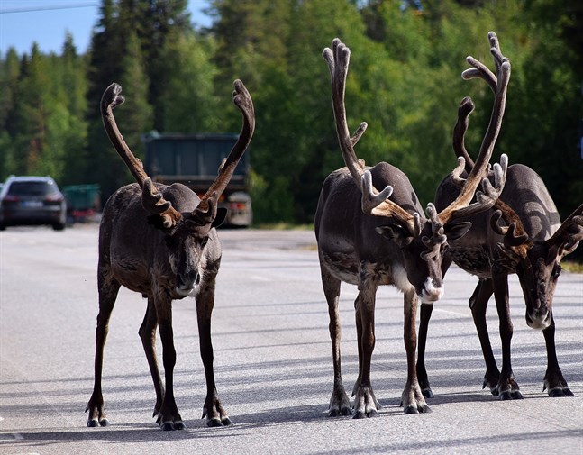 På fel sida av gränsen. Den nuvarande definitionen av gränsområden kan splittra byar i övre Lappland.