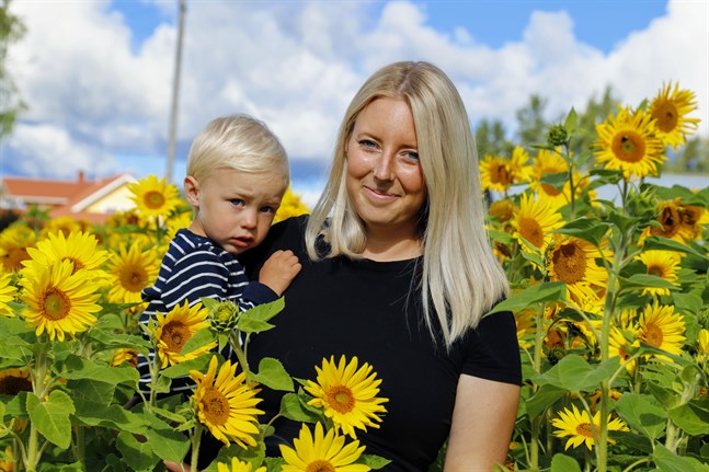 Hanna Aspholm i Övermalax har ett solrosfält på åkern utanför huset. Det är lite större än i fjol, och hon planerar ett ännu större nästa år.