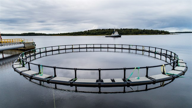 Hamnen utvecklas inte av fiskkassarna, skriver Kjell Vikman.