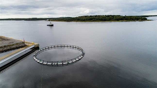 Alla yrkesfiskare jag har talat med om har varit negativa till fiskodling i havet, bland annat som en följd av miljöbelastning, skriver Simon Holmstedt.