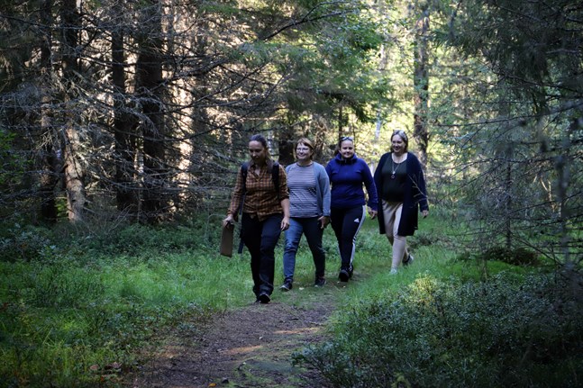 Arbetet med en vandringsled tar aldrig slut. För det senaste projektet tog Bergö Öråd med Britt-Mari Söderholm, Maria Mann, Lotta Skinnar hjälp av Ida Berg (längst fram) från Kvarkens Naturskola.