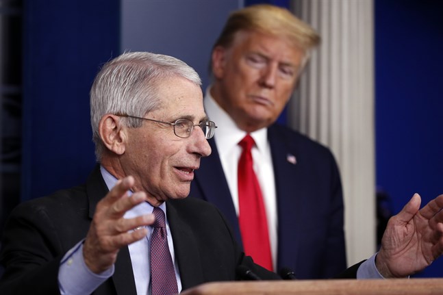 Smittskyddsexperten Anthony Fauci och president Donald Trump.
