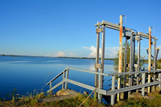 Dammen som reglerar vattennivån i Närpes å ska renoveras i höst. Ån börjar här i Kivi- och Levalampi konstgjorda sjö i Kurikka.