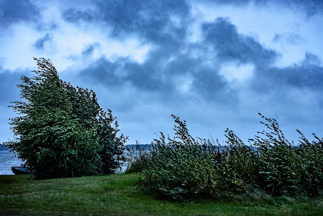 Meteoroligiska institutet varnar för stormvindar.