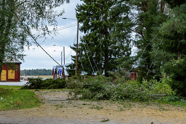 Andra sjön i Nykarleby efter stormen Aila i september 2020.