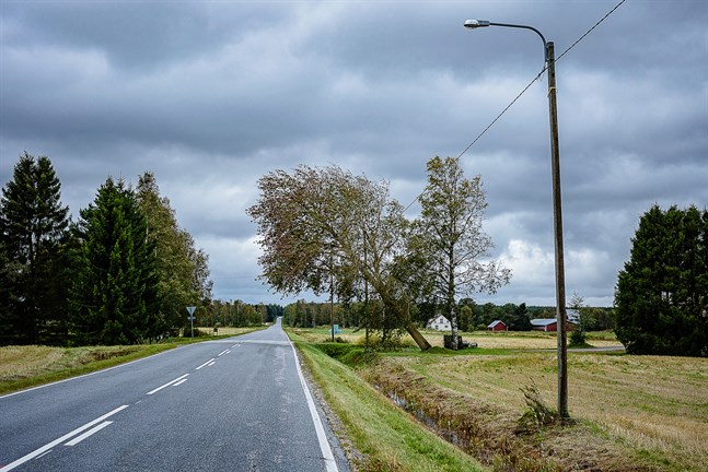 Nyhetsbild