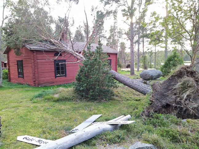 Stormen fällde flera träd på Kilens hembygdsgårds museiområde i Sideby. En tall föll på taket till 1700-talshuset.