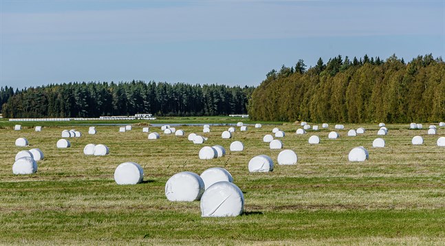 Jordbruksplasten är dyr att återvinna, anser bland andra Margareta Rodas, i Korsholms fullmäktige. Även andra jordbrukare önskar mer av den kommunala avfallshanteringen.