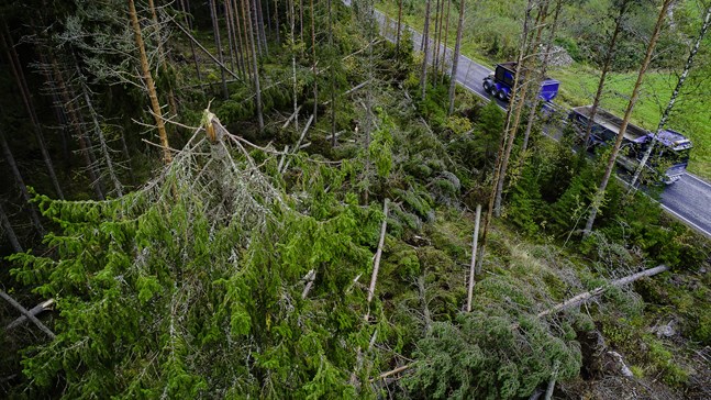 Skador längs Knifsundsvägen i Öja efter stormen Aila i september.
