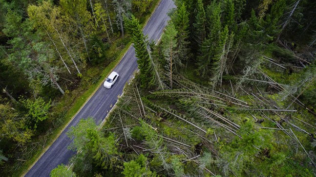 Skador längs Knifsundsvägen i Öja efter stormen Aila i september.