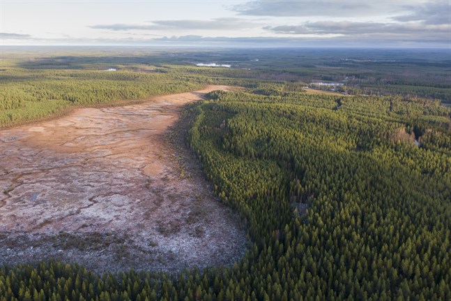 Storfähusmossen är odikad, orörd myrmark. Skogsområdet till höger i bild är Timmerbacken, ett av de områden där det finns fornminnen – boplatser och gravrösen.
