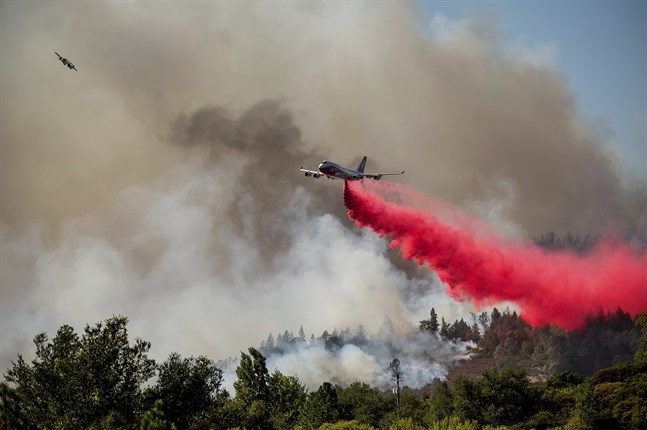 En omfattande skogsbrand rasar i Napadalen i Kalifornien.