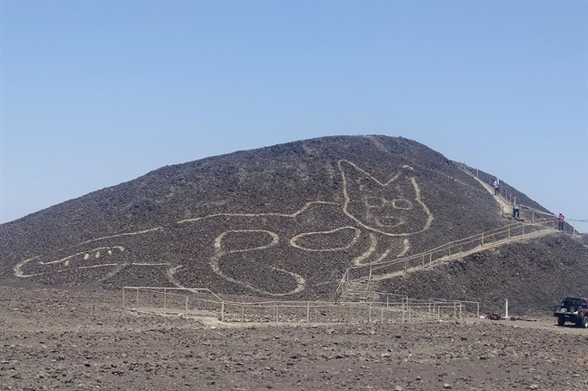 En utmejslad katt, troligen mer än 2 000 år gammal, har upptäckts på de av geoglyfer täckta sluttningarna i Nazca i Peru.