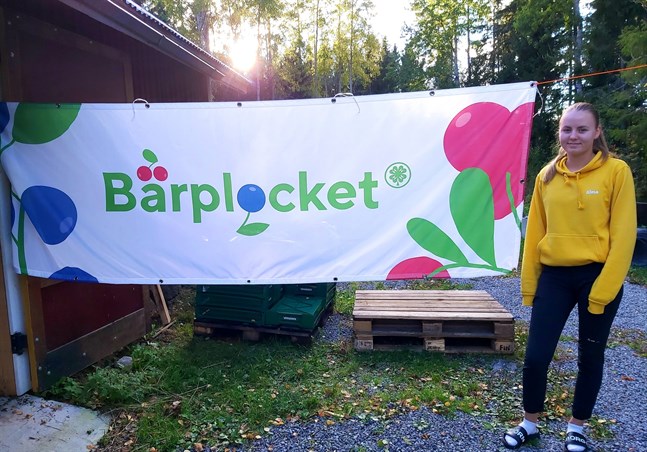 Alma Södergran ansvarade för 4H:s bäruppköp i Korsnäs. Hon är glad för allt hon fått lära sig genom att pröva ett nytt jobb.