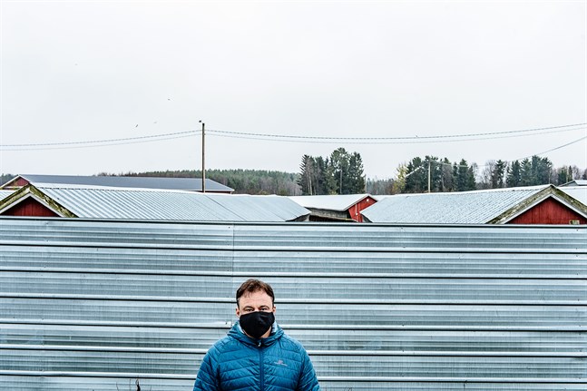 Hit men inte längre. Coronaviruset skruvar upp säkerhetstänket också på Mikael Knuts farm.