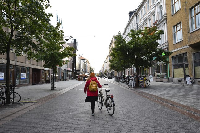 Alla finländares inkomst- och skatteuppgifter är offentliga och tillgängliga via skattebyråernas kundterminaler och per telefon. Uppgifterna för skatteåret 2019 är tillgängliga från och med den 3 november.