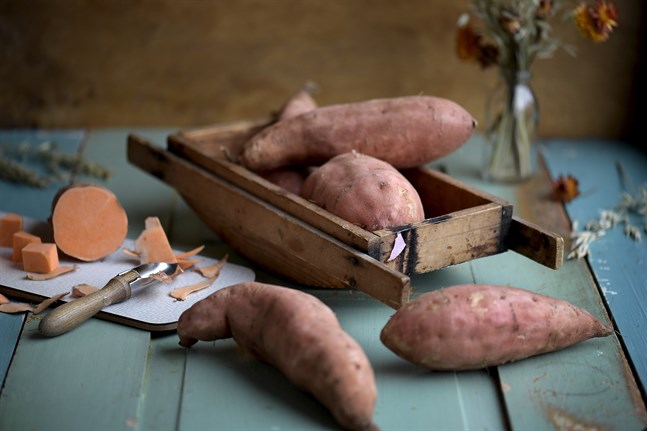 Sötpotatis är betydligt nyttigare än man kan tro. Bland annat är den laddad med antioxidanter, A-vitamin, kalcium och fibrer.
