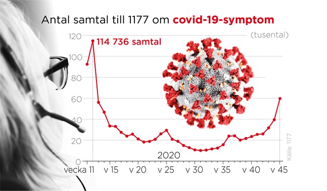 Antalet samtal till 1177 Vårdguidens särskilda linje för covid-19-symptom ärr nu under vecka 11 till vecka 45.