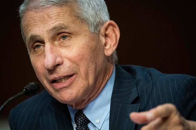 Anthony Fauci är chef vid Nationella institutet för allergier och infektionssjukdomar (Niaid) i USA