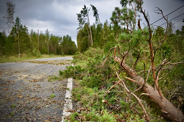 Ett godståg krockade med ett fallet träd i Saarijärvi på torsdagskvällen. Arkivbild.