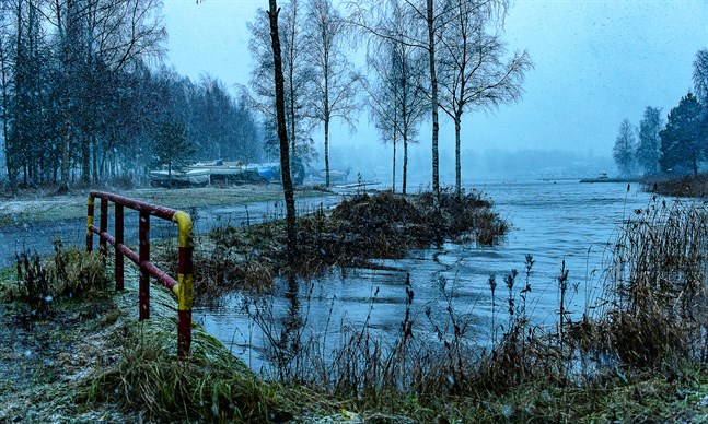 Högt vattenstånd i Gamla hamnviken i Jakobstad. 19.11.2020.