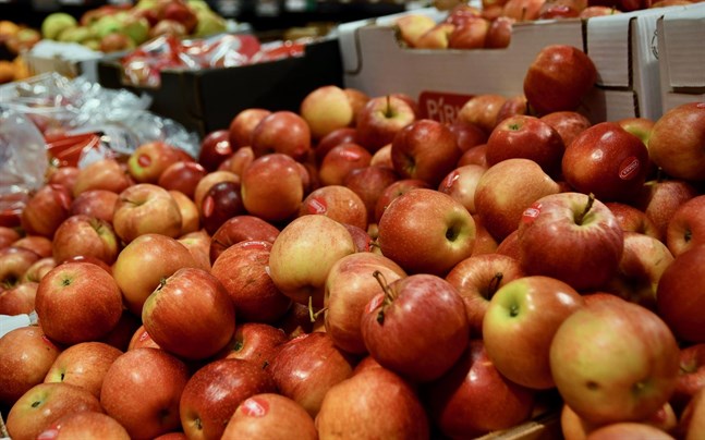 KD skulle i sin alternativbudget sänka priset på livsmedel genom att sänka mervärdeskatten för frukt och grönsaker.