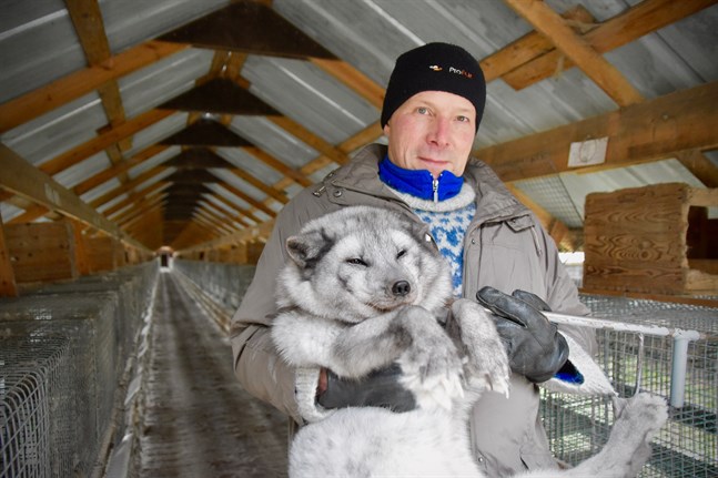 2010 inledde Jan Käcko sina närvårdarstudier inom ett 2,5-årigt vuxenprogram vid Yrkesakademin i Österbotten. – Jag pluggade blodgrupper och skelettdelar medan jag flådde rävar under pälsningstiden. Det gick bra.