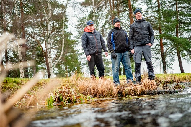Helmer Ollqvist, Hans Sandström och Peter Högkvist jobbar aktivt för att Heimsjön också i fortsättningen ska vara Österbottens pärla.