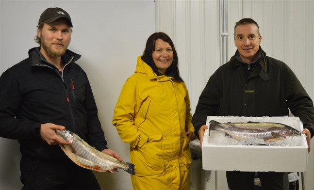 Yrkesfiskaren Andreas Segervall, projektledaren Malin Winberg och Fiske-Leaderrådgivare Jonas Harald hoppas på att projekten kommer att synliggöra yrkesfiskaren.
