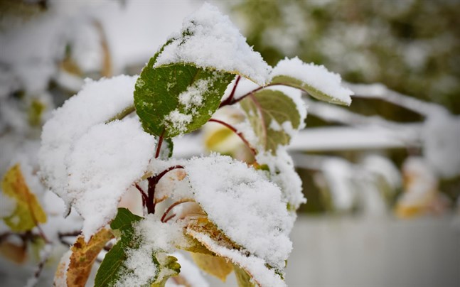 På söndagskvällen väntas mer snö.